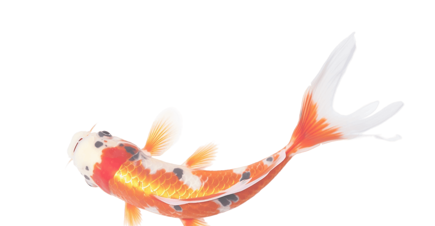 Bottom fish